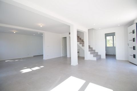 photo no. 2