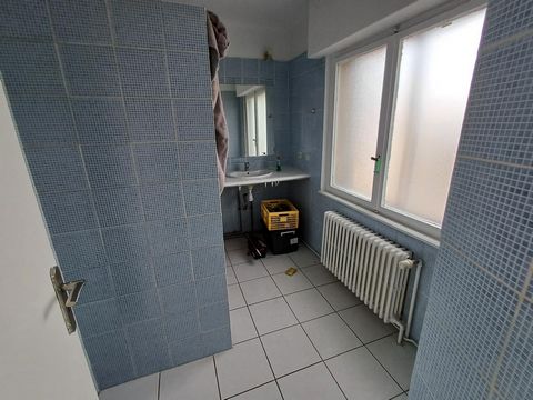 photo no. 12