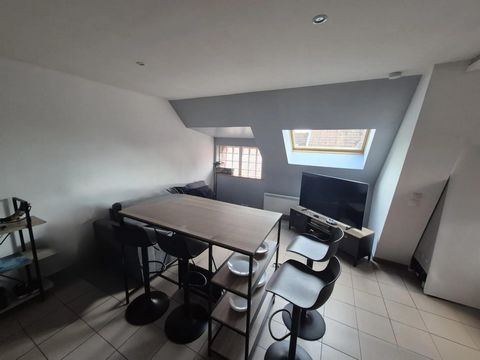 photo no. 11