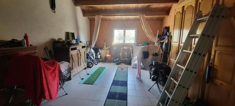 photo no. 19