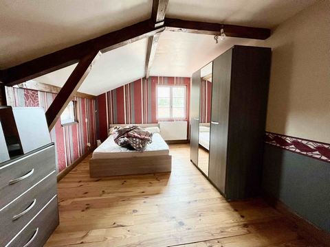 photo no. 11