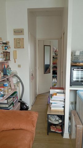 photo no. 2