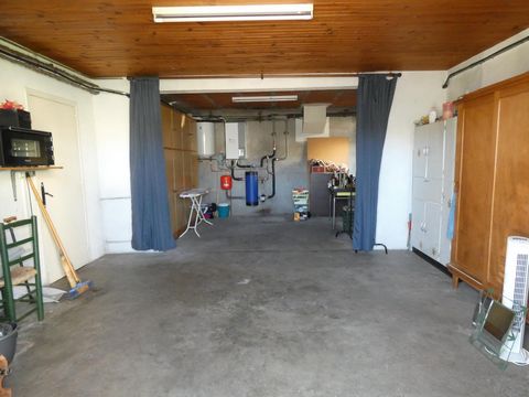 photo no. 12