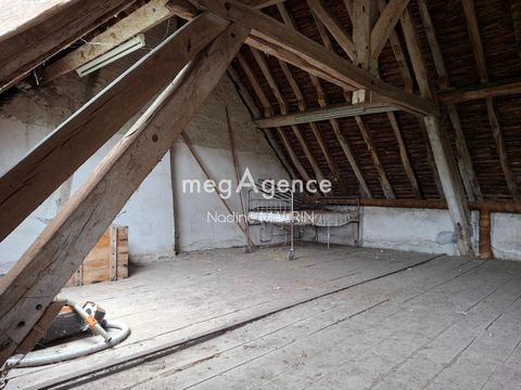 photo no. 10