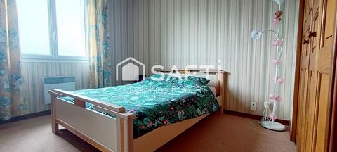 photo no. 12