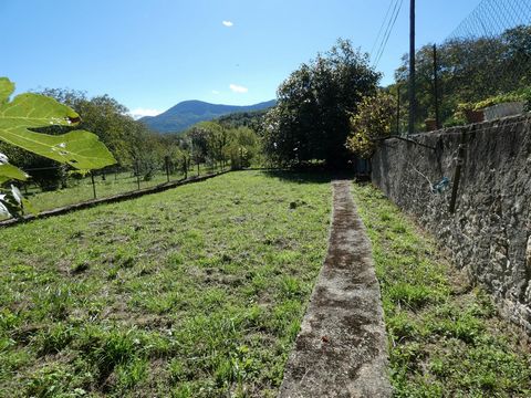 photo no. 10