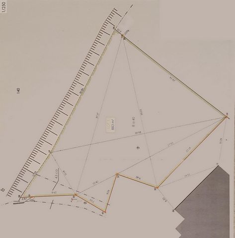 photo no. 2