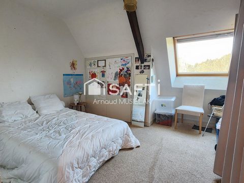 photo no. 9