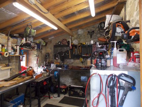 photo no. 15