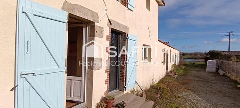 photo no. 13