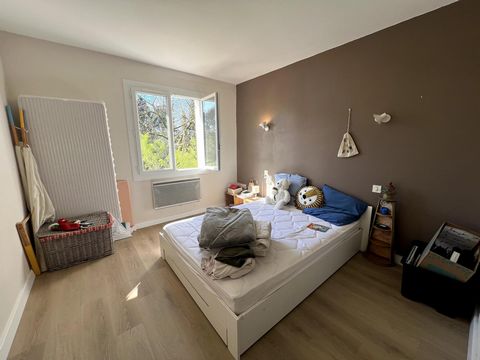 photo no. 12