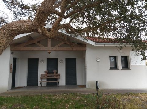 photo no. 3