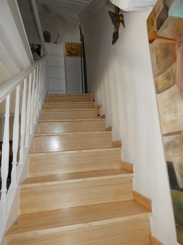 photo no. 8