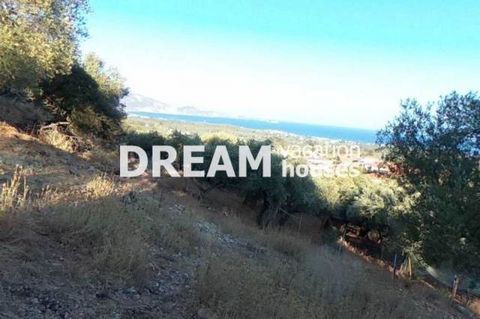Description Lithakia, Agricultural Land For Sale, 2.754 sq.m., Features: For development, Amphitheatrical, Sloping, Price: 90.000€. Πασχαλίδης Γιώργος Additional Information Plot of land in Lithakia of Zakynthos, with a total surface of 2753.77 sq.m....
