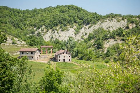“Cascina Bassana” is composed of a manor house for a total of 392 sqm on two levels. A big cellar in the basement with vaulted ceilings made of antique bricks, an ex-stable with a tools storage on the upper level of about 224sqm, a barn on two levels...