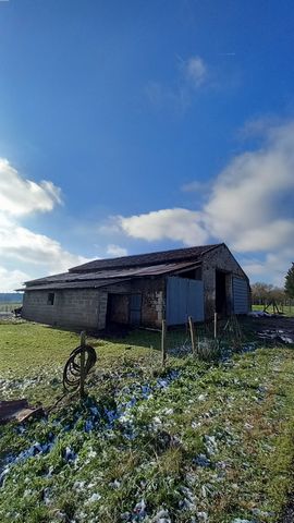 Future property, purchase by an agricultural operator only, this barn largely in rubble stone, a magnificent oak frame, on a plot of more than 12ht, it could be transformed into a house with lots of hide, located on a small country road very little u...