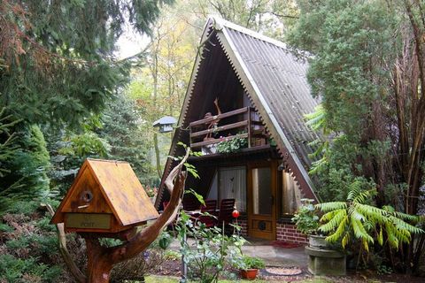 Rustic cozy Nurdachhaus on a nature plot with beautiful trees. Perlin borders on the district of Ludwigslust and is approx. 250 m - not far - from the large Dümmer See.Highlights included:Water and gas2 bicycles1 bottle of sparkling wine upon . Activ...
