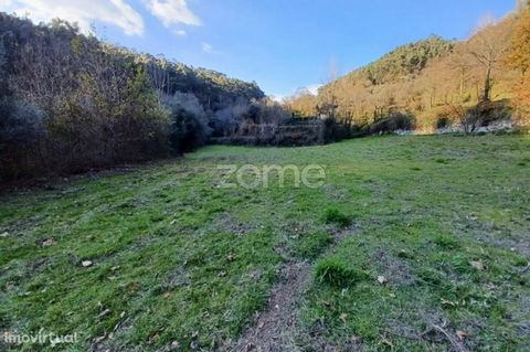 Property ID: ZMPT549039 Rusticland with 3 500m2 located in Seramil, Amares, with spring and water tank. - Arable irrigated culture with vineyards, olive trees and chestnut trees. - This terrain is totally flat and with a good sun exposure. - View of ...