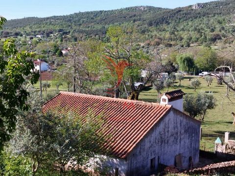 Farm in Escusa/Marvão with house and several dependencies. Next to the old gutters and old golf course. Wonderful views of the surrounding mountains. Very quiet place and inserted in a spectacular landscaped space. Olive groves, chestnut trees, walnu...