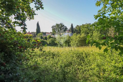 Location: Istarska županija, Žminj, Žminj. Žminj ist eine kleine malerische Stadt in Zentralistrien, einer Region in Kroatien, die für ihre Schönheit und ihr reiches kulturelles Erbe bekannt ist. Die Stadt liegt auf hügeligem Gelände, umgeben von unb...