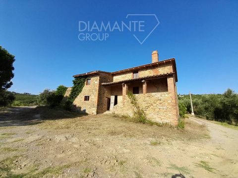 PANICALE (PG), vicinity: 92-hectare olive farm with farmhouse comprising: * 35 hectares of olive grove in production quality leccino, moraiolo, frantoio and dolce agogia; * 10 hectares of slightly hilly arable land suitable for any type of cultivatio...
