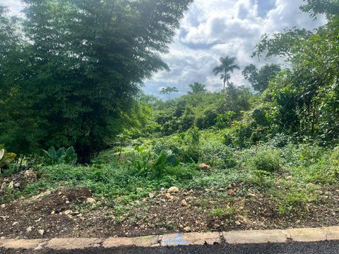 Large lot with panoramic view in new development in Shenton Linstead, surrounded by palm trees and greenery, yet only 45mins from Kingston. Land has a slope and can accommodate a creative split level home. NHT applicants are welcomed.