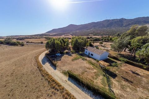 Create unforgettable memories in this unique accommodation ideal for families. Staying in this house, you will experience the authenticity of country life in Tarifa; horses, cows, mountains of pasture, clear views, birds, fresh air and all this 7 min...