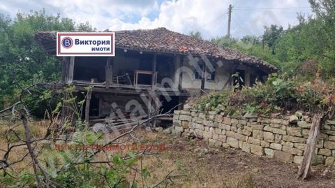 G. Elena The team of Victoria Imoti is pleased to present to its clients a house for sale, located in one of the most developed tourist areas, namely close to the town of Smolyan. Elena. The house is located in the village of Raynovtsi, which is loca...