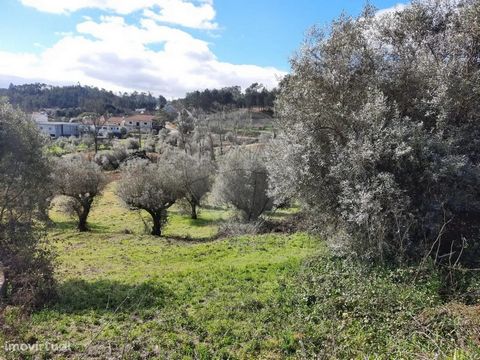 Land for sale at 6 000 €