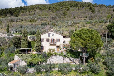 Among the Umbrian hills, a stone cottage with a terraced garden that allows a magnificent view of the valley below and with a large olive grove, a few kilometers from the magnificent city of Spoleto. With a modern design inside, the house was renovat...