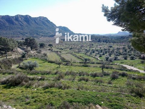 Plot for sale in Murcia, Fenced, Electricity, Water and Gas.