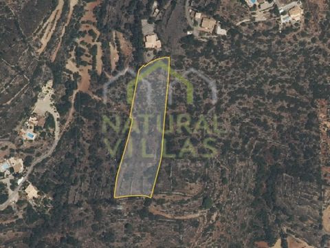 Explore the Potential of this Land with Panoramic Views and Guaranteed Profitability. This rustic plot of land in Alcaria Cova, Estoi, offers a unique investment opportunity. With a total area of 6740m2 and rainfed trees such as carob, fig and olive ...