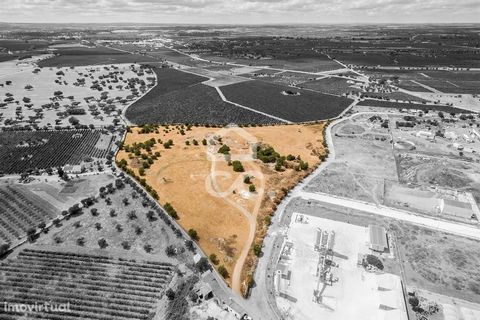 BANK PROPERTY Si vous souhaitez investir dans un terrain pour la construction, vous trouverez cette option à Tapada do Valente, à Reguengos de Monsaraz. Le terrain de 36500 m2, est entièrement muré, ayant faisabilité de construction, étant possible d...