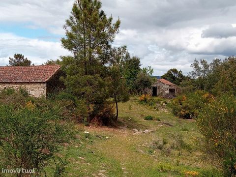 Rustikales Grundstück mit einer Gesamtfläche von ca. 13 ha in Aldeia do Bispo. Dieses weitläufige Anwesen verfügt über: » Zwei ländliche Gebäude mit einer Gesamtfläche von 161m2. » Drei Brunnen. » Eukalyptus bis zwei Jahre für die volle Reife, die er...