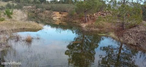 Rustic land with 14250 m2 in Penamacor, Castelo Branco. It is situated in a quiet area with no close neighbours. It has a pond, olive trees and some vineyards. It is fully sealed. Privileged access for any vehicle, allows construction to support agri...