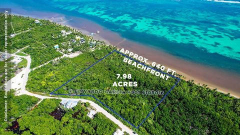 Discover an unparalleled investment opportunity in the thriving real estate market of San Pedro, Belize! This expansive beachfront property spans an impressive 7.98 acres and boasts approximately 640 feet of pristine shoreline. Calling all land devel...