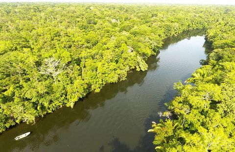 Are you dreaming of owning your own Belize Real Estate?  Well, this is your chance! This Riverfront Property in Belize sits on the Moho River with immediate access to the Caribbean Sea, the Gulf of Honduras and the Port of Honduras Marine Reserve.  F...