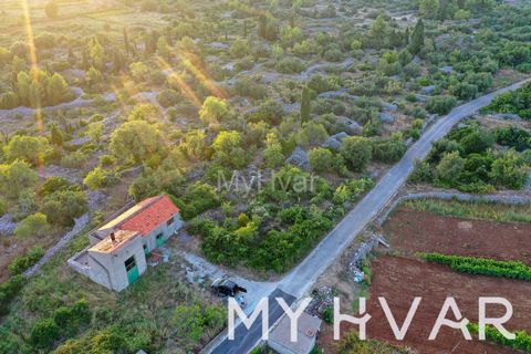 Una rara opportunità attende nel cuore di Bogomolje, Hvar. Questo terreno edificabile di 1400 m², situato vicino alla strada, offre una tela per i tuoi sogni. Con una vista libera a nord, il villaggio è a soli 2 minuti a piedi. Queste antiche struttu...