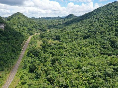 Are you considering to purchase Real Estate in Belize along the Maya Mountains in Belize? Well, this is your opportunity! Nestled at the foot of the Sleep Giant Mountains is this 110 acres gem!  This property is located less than 20 minutes south  of...