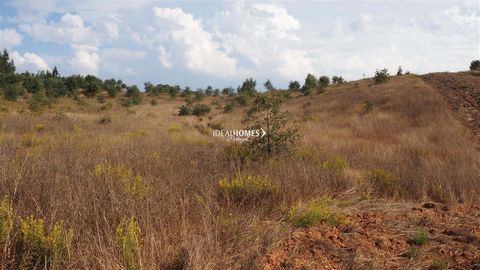 This large plot of land for sale is located in Cercál do Alentejo, a municipality within Santiago do Cacém. Found just 15 minutes from Alentejo coast, it provides a prime opportunity to create a masterpiece to your own liking. Construction of 4000m2 ...
