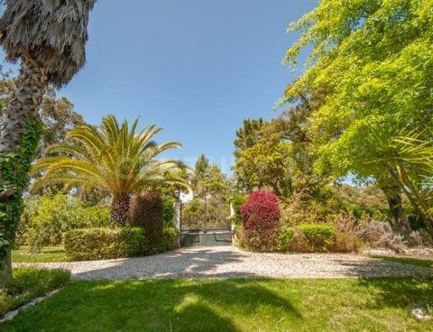 **Quinta de São José : un havre de tranquillité à Palhais, Barreiro** Découvrez Quinta de São José, une magnifique propriété située dans la paisible paroisse de Palhais, Barreiro. Située sur 1,8 acres de terrain entièrement clos, cette villa de 5 cha...