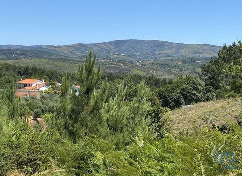 Planeie a sua casa de sonho em Vale do Barco, Pedrógão Grande Área do terreno: 2399m2 Classificação do terreno: Zona Urbana de baixa densidade Restrições: Máximo de 3 pisos Área máxima de construção total: 1200m2 (400m2 de área útil para um edifício ...