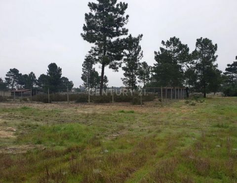 Este terreno em Salvaterra, com uma área de 9.700m2 e localizado a apenas 2 minutos do centro da vila, parece ser uma excelente oportunidade para quem procura um espaço para construir uma casa amovível. A presença de dois portões de acesso facilita a...