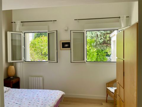 photo no. 8