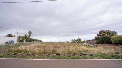 Terreno rustico di 3677 m2, molto ben collegato, totalmente pianeggiante, con servizi elettrici e idrici sul terreno.