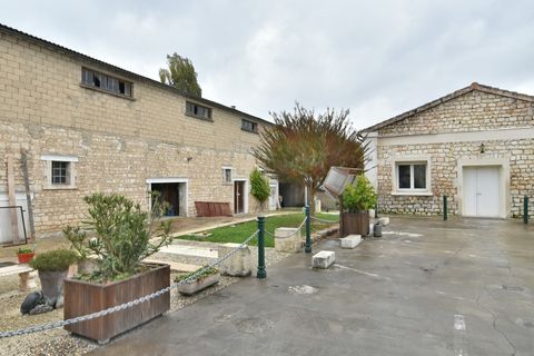 photo no. 1