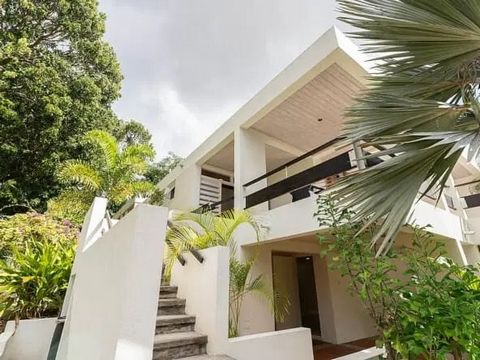 Villa Dundo – Een meesterwerk van het Caribische leven Stap binnen in Villa Dundo, een zorgvuldig ontworpen woning met 4 slaapkamers en 3,5 badkamers die hedendaagse luxe combineert met alledaagse functionaliteit. Genesteld op 9.500 m² aan profession...