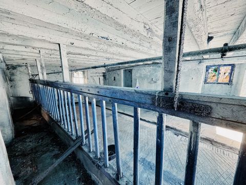 photo no. 8