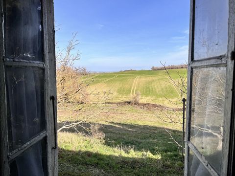 photo no. 16
