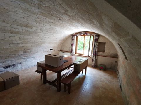 photo no. 7